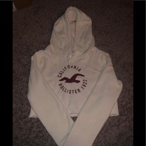 Cropped Hollister Hoodie